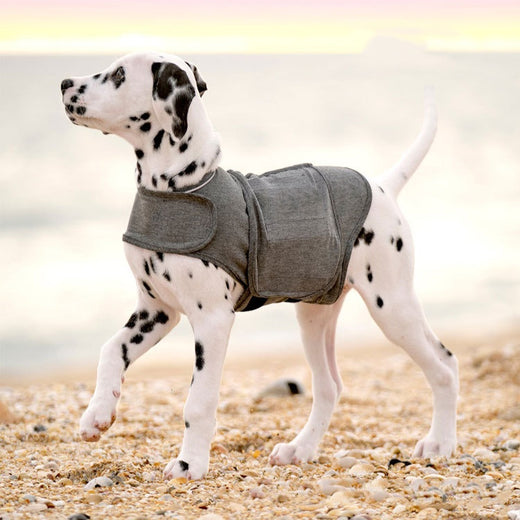 FurBuddy Calming Vest — Anxiety Relief for Dogs