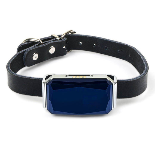 FurBuddy GPS Pet Tracker — Real-Time Location