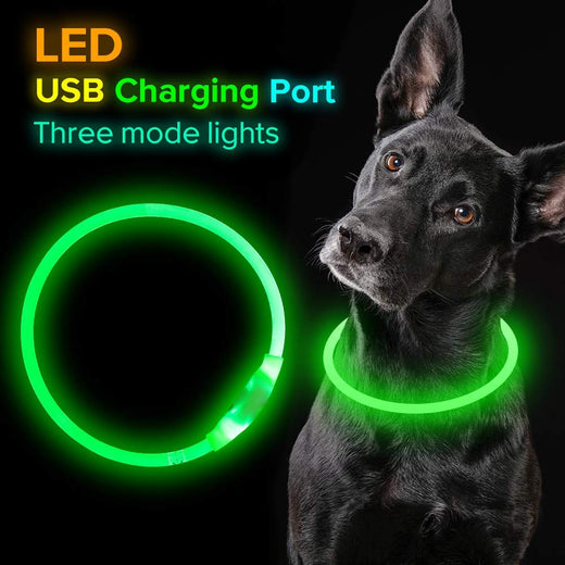 FurBuddy LED Dog Collar — Glow Safe at Night